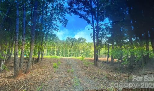 Photo #6 of 1056 Stephens Trail, Sandy Ridge, NC