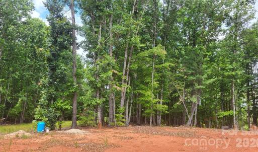 Photo #9 of 1056 Stephens Trail, Sandy Ridge, NC