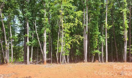Photo #11 of 1056 Stephens Trail, Sandy Ridge, NC