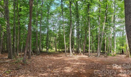Photo #15 of 1056 Stephens Trail, Sandy Ridge, NC