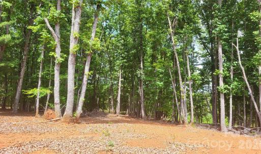 Photo #12 of 1056 Stephens Trail, Sandy Ridge, NC
