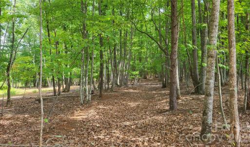 Photo #17 of 1056 Stephens Trail, Sandy Ridge, NC
