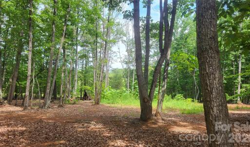 Photo #16 of 1056 Stephens Trail, Sandy Ridge, NC