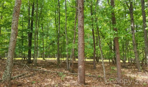 Photo #14 of 1056 Stephens Trail, Sandy Ridge, NC