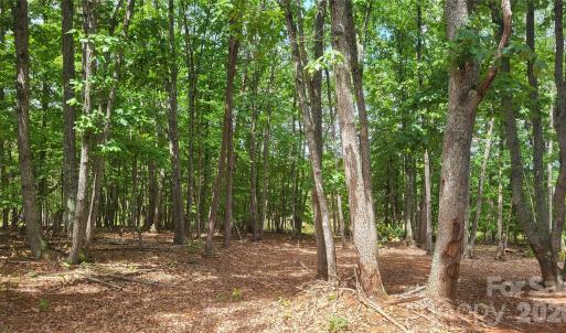 Photo #13 of 1056 Stephens Trail, Sandy Ridge, NC