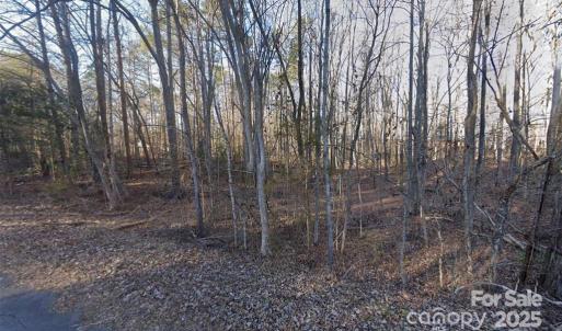 Photo #3 of 2060 Berrywood, Clover, SC