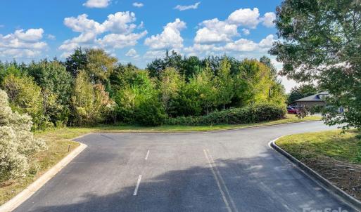 Photo #11 of 2876 Old Nation, Fort Mill, SC