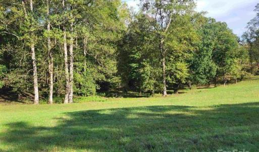 Photo #7 of Meadow Fork, Travelers Rest, SC