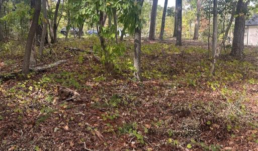 Photo #8 of Lot 92 Tidewater, Norwood, NC