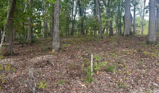 Photo #5 of Lot 92 Tidewater, Norwood, NC