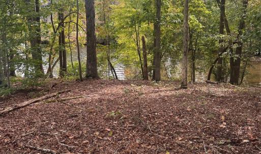 Photo #11 of Lot 92 Tidewater, Norwood, NC
