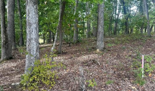 Photo #4 of Lot 92 Tidewater, Norwood, NC