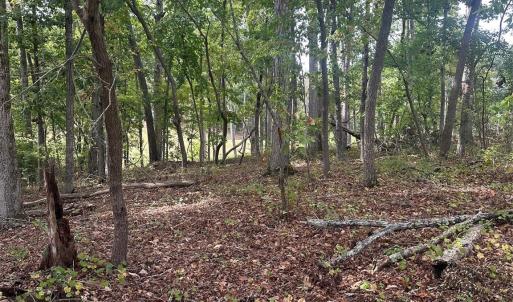 Photo #6 of Lot 92 Tidewater, Norwood, NC