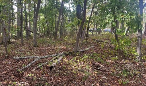 Photo #7 of Lot 92 Tidewater, Norwood, NC