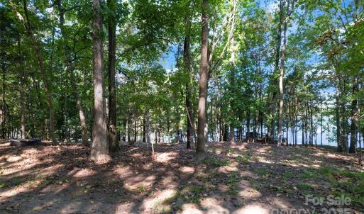 Photo #12 of Senator, Lake Wylie, SC