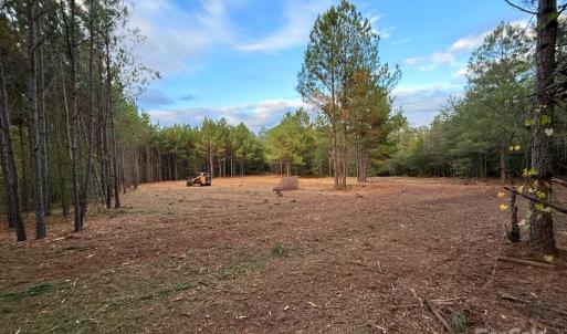 Photo #3 of Steen, Mount Croghan, SC