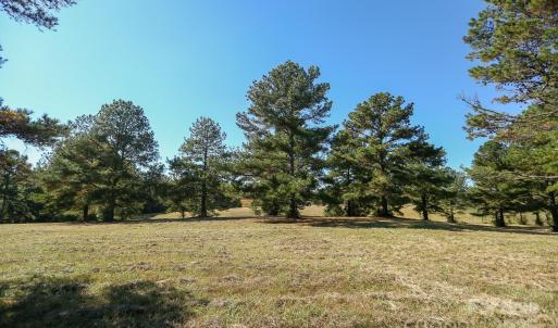 Photo #10 of Wagoner, Richfield, NC