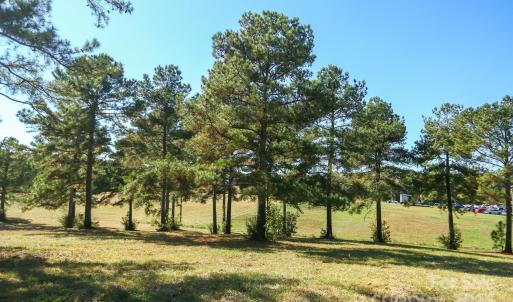 Photo #8 of Wagoner, Richfield, NC