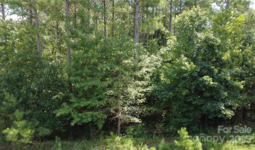 Photo #3 of 4155 Persimmon, Lancaster, SC