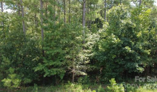 Photo #2 of 4155 Persimmon, Lancaster, SC
