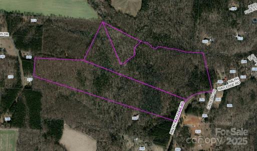 Photo #13 of Ratledge, Mocksville, NC