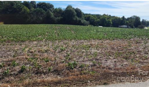 Photo #4 of Old Pageland Marshville, Wingate, NC