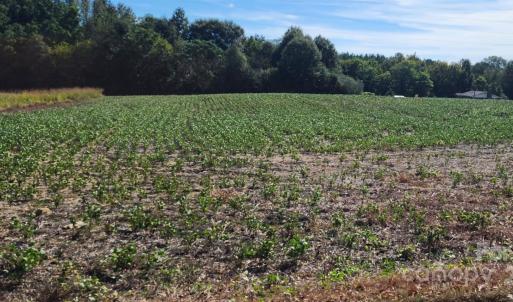 Photo #9 of Old Pageland Marshville, Wingate, NC