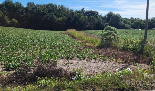 Photo #7 of Old Pageland Marshville, Wingate, NC