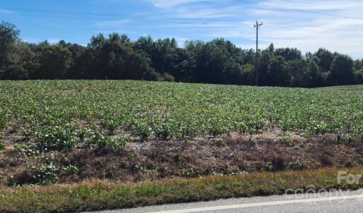 Photo #3 of Old Pageland Marshville, Wingate, NC