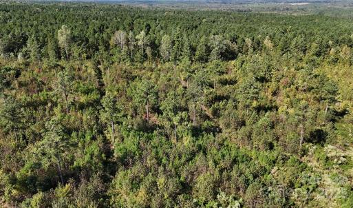 Photo #11 of Lot 1 Farris Cato, Pageland, SC