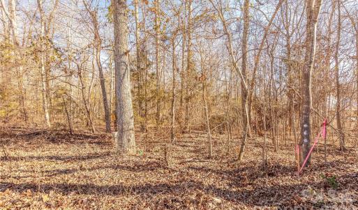 Photo #6 of 00-B Van Wyck, Lancaster, SC