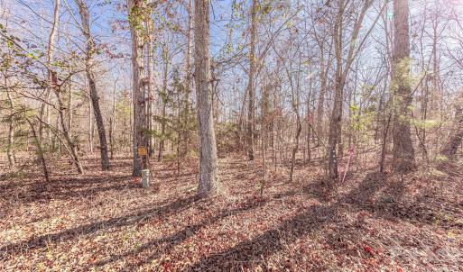 Photo #7 of 00-B Van Wyck, Lancaster, SC