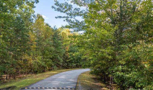 Photo #5 of 100 Pardo, Landrum, SC