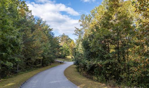 Photo #6 of 100 Pardo, Landrum, SC