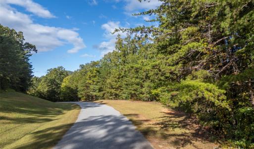 Photo #8 of 100 Pardo, Landrum, SC