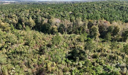 Photo #9 of Lot 25 Farris Cato, Pageland, SC