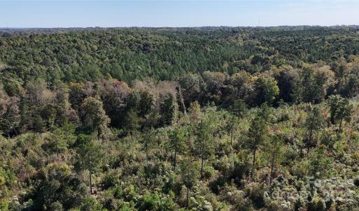 Photo #8 of Lot 25 Farris Cato, Pageland, SC