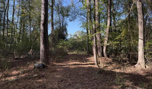 Photo #2 of Short, Morven, NC