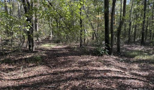 Photo #4 of Short, Morven, NC