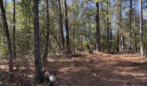 Photo #5 of Short, Morven, NC