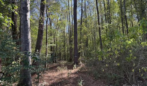 Photo #3 of Short, Morven, NC