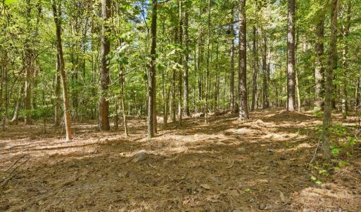 Photo #12 of Rehobeth, Waxhaw, NC