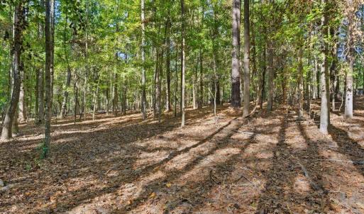 Photo #13 of Rehobeth, Waxhaw, NC