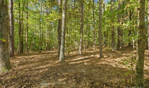 Photo #11 of Rehobeth, Waxhaw, NC