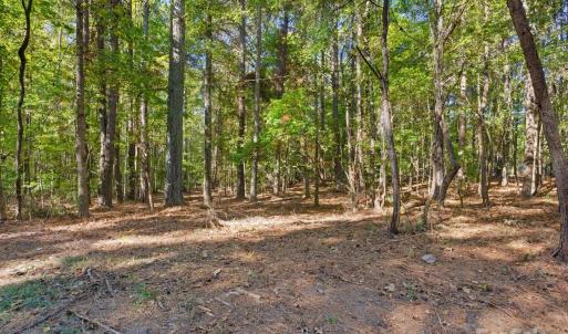 Photo #15 of Rehobeth, Waxhaw, NC