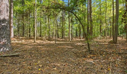 Photo #6 of Rehobeth, Waxhaw, NC