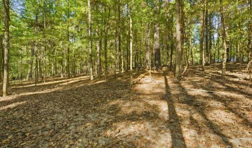 Photo #10 of Rehobeth, Waxhaw, NC