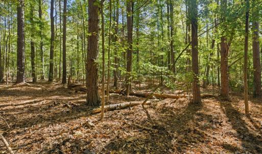 Photo #9 of Rehobeth, Waxhaw, NC