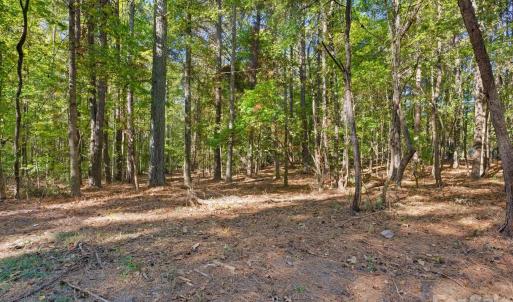 Photo #15 of Rehobeth, Waxhaw, NC