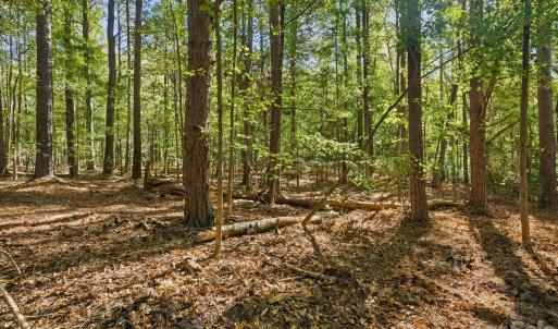 Photo #9 of Rehobeth, Waxhaw, NC